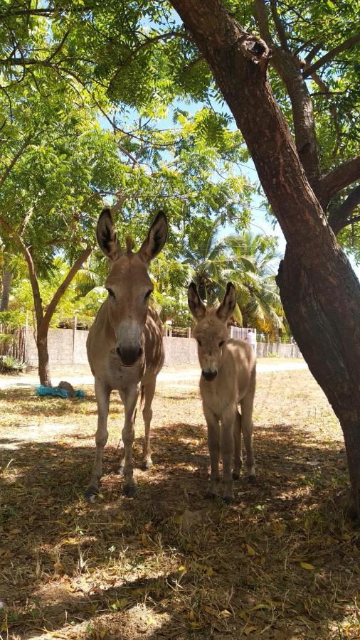 Pousada Eolos Barra Grande  Dış mekan fotoğraf